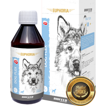 BIOFEED EUPHORIA Dog Flex Preparat na stawy dla psa 250ml